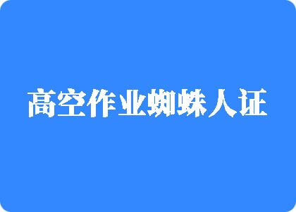 艹逼免费观看高空作业蜘蛛人证